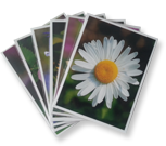 flower essence cards