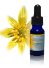 celandine essence