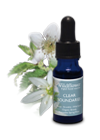 Clear Boundaries blended flower essence