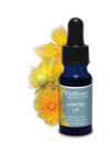 Lighten Up blended flower essence